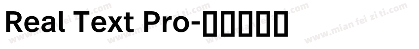Real Text Pro字体转换